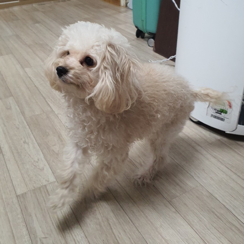 탕탕😚