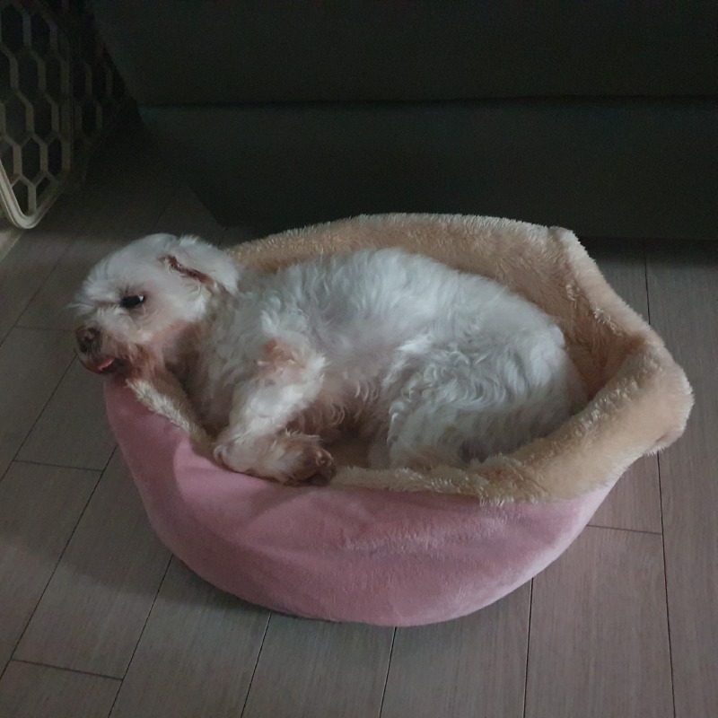 집이 좁아보이네