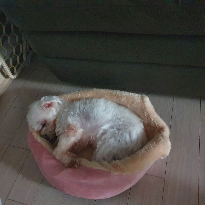 집이 좁아보이네