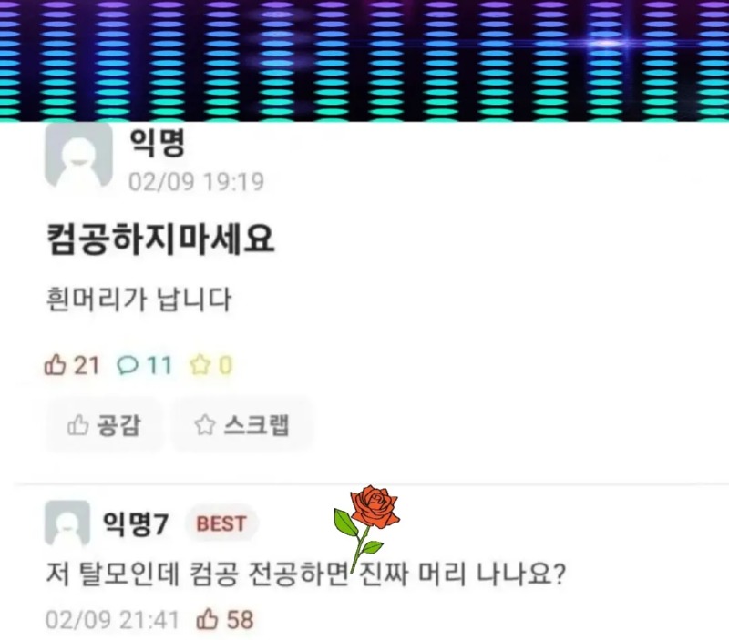 컴공 하지 마세요