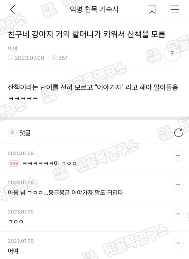 친구네 강아지 할머니가 키워서 "산책"이란 말을 모름