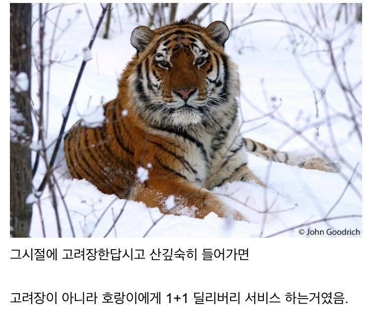 조선시대에 한반도에서 고려장이 불가능했던 이유 