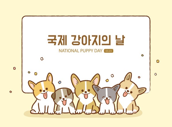 오늘은 국제 강아지의 날!!! 