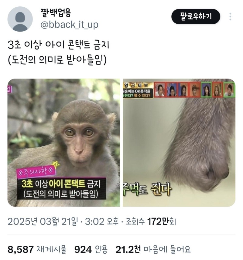 원숭이랑 만나면 주의해야 할 점. 