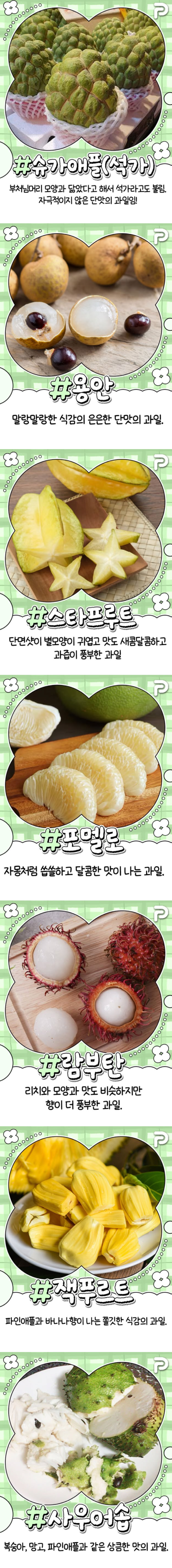 동남아 여행 필수 과일 리스트 