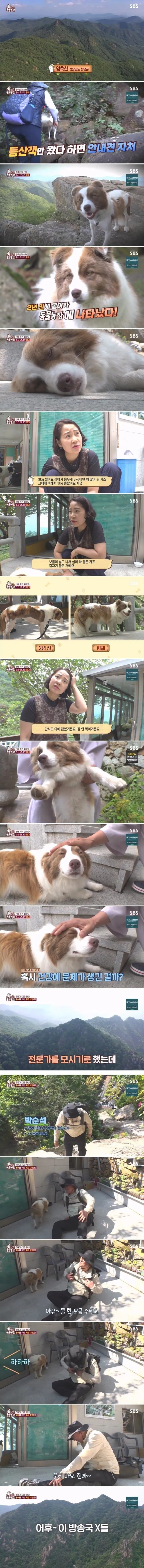 전문가에게 욕 먹은 동물농장 제작진