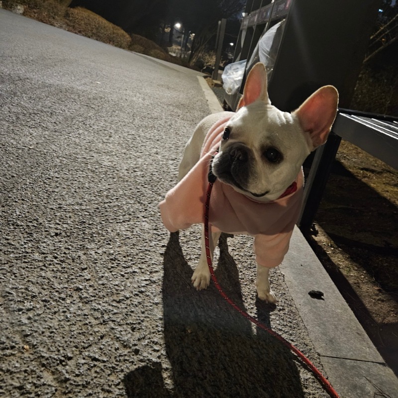 찐빵이