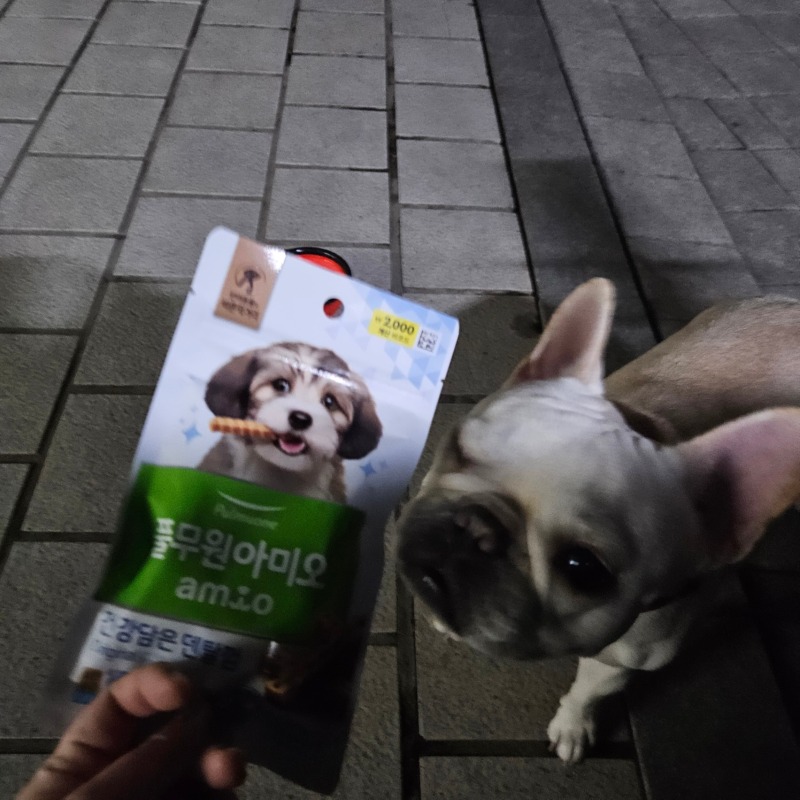 풀무언.jpg