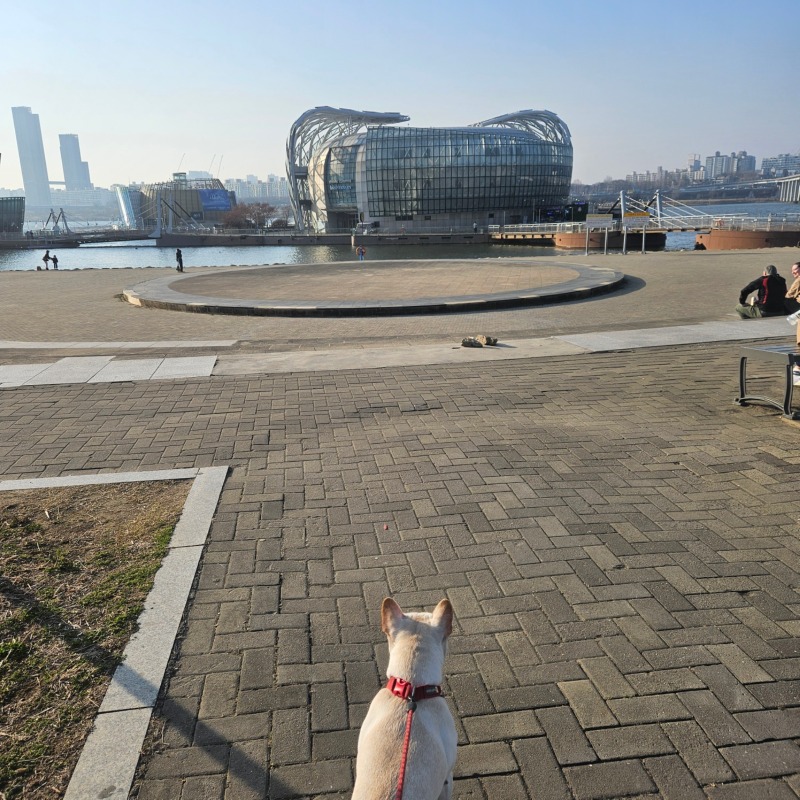 세빛섬 산책
