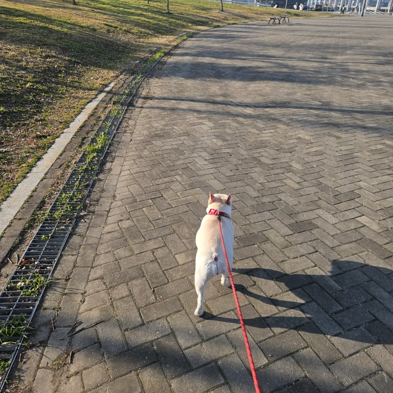 세빛섬 산책