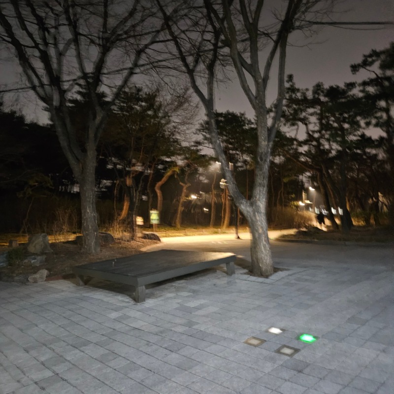남산 둘레길 산책