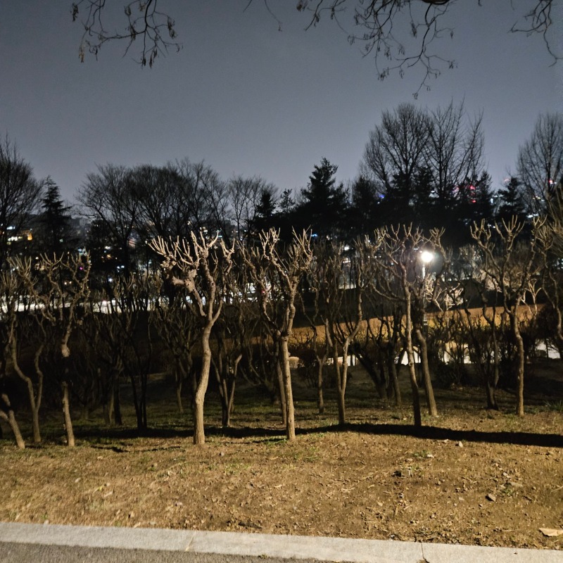 남산 야외식물원 산책