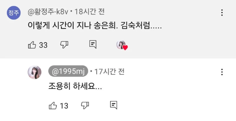 박민정 고말숙 여행 브이로그에 달린 댓글 