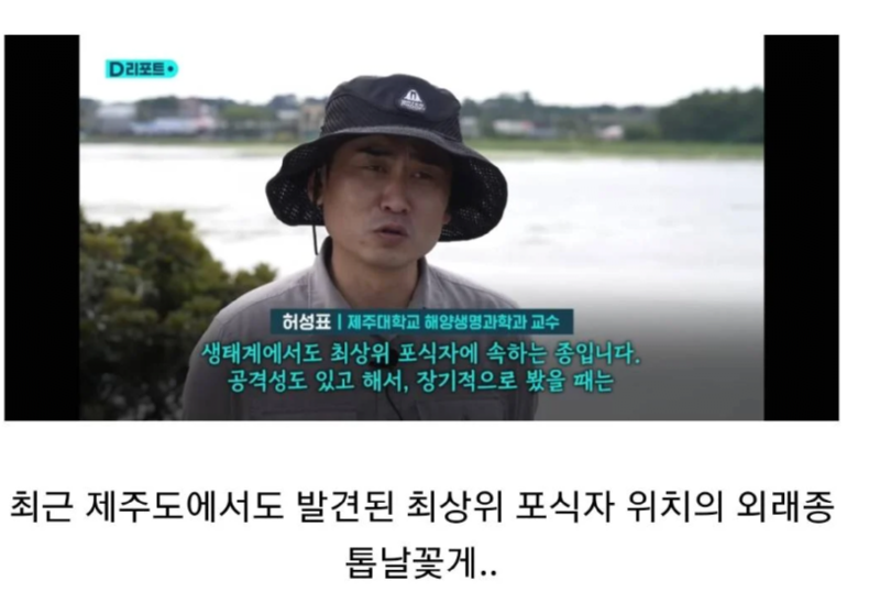 생태계 파괴 외래종 꽃게 근황