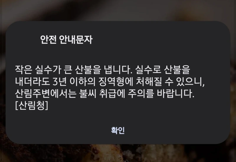 진짜 필요한 안내문자 