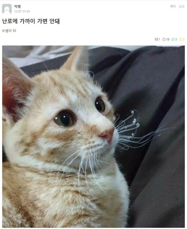 난로에 가까이 가면 안돼!! 