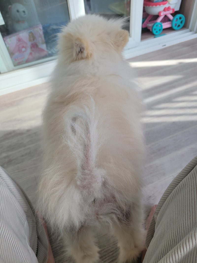 엉덩이 토닥토닥해줭