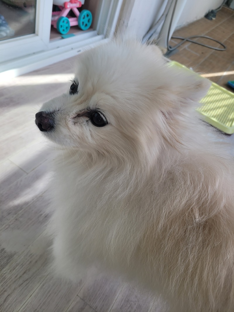 엉덩이 토닥토닥해줭