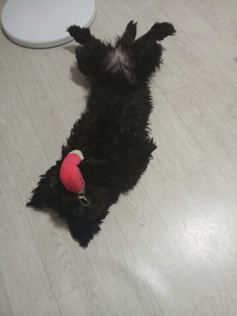 날이 더워지니 놀때도 누워서..