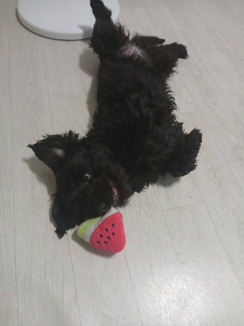 날이 더워지니 놀때도 누워서..