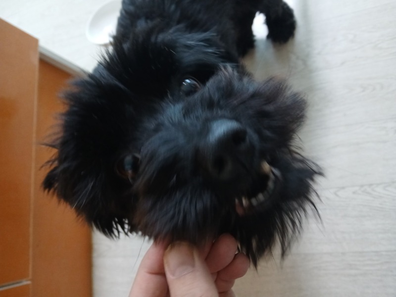 KakaoTalk_20250326_171952718_02.jpg