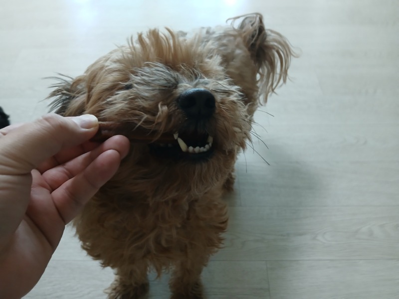 KakaoTalk_20250326_171952718_03.jpg
