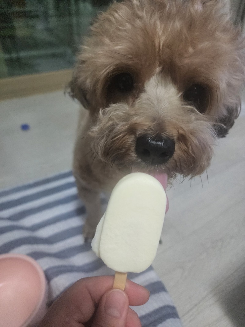 KakaoTalk_20250326_170806432.jpg
