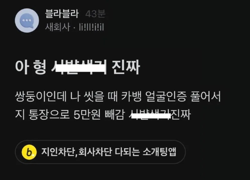 쌍둥이의 단점
