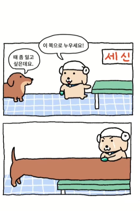 귀여운 강아지 툰 그리는 인스타 채널 (남씨작가님)