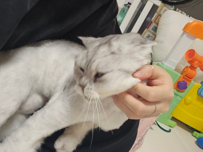 엄마내꺼ㅜ