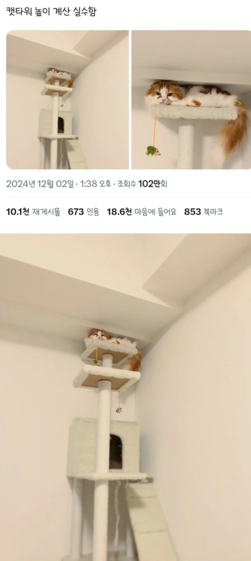 캣타워 높이 계산 실패. 