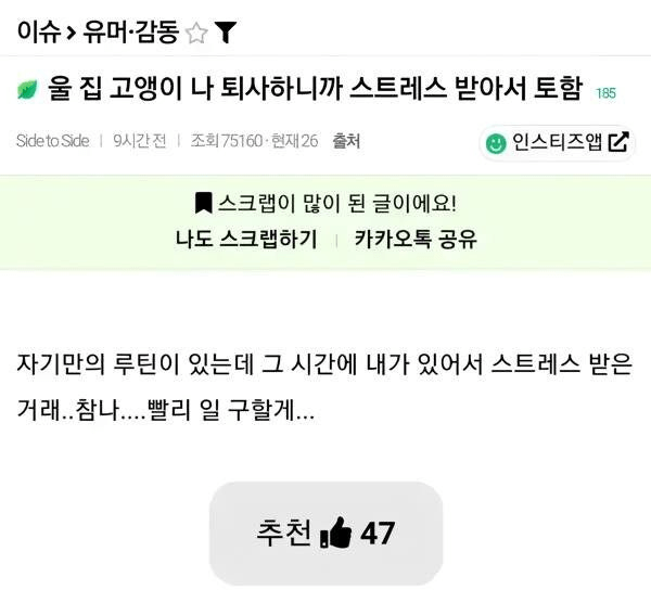 울 집 고양이 나 퇴사하니까 스트레스 받아서 토함 .jpg