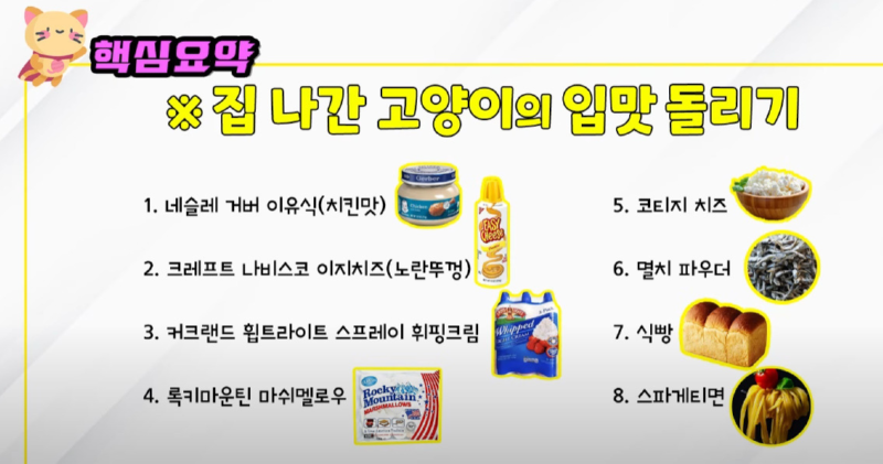 수의사가 얘기한 고양이가 좋아하는 사람 음식