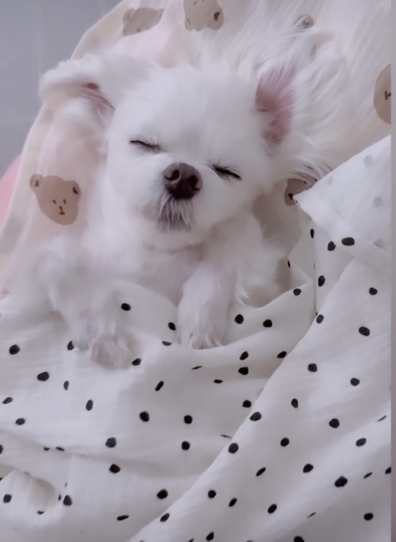 ㅋㅋ잘때는 벌러덩