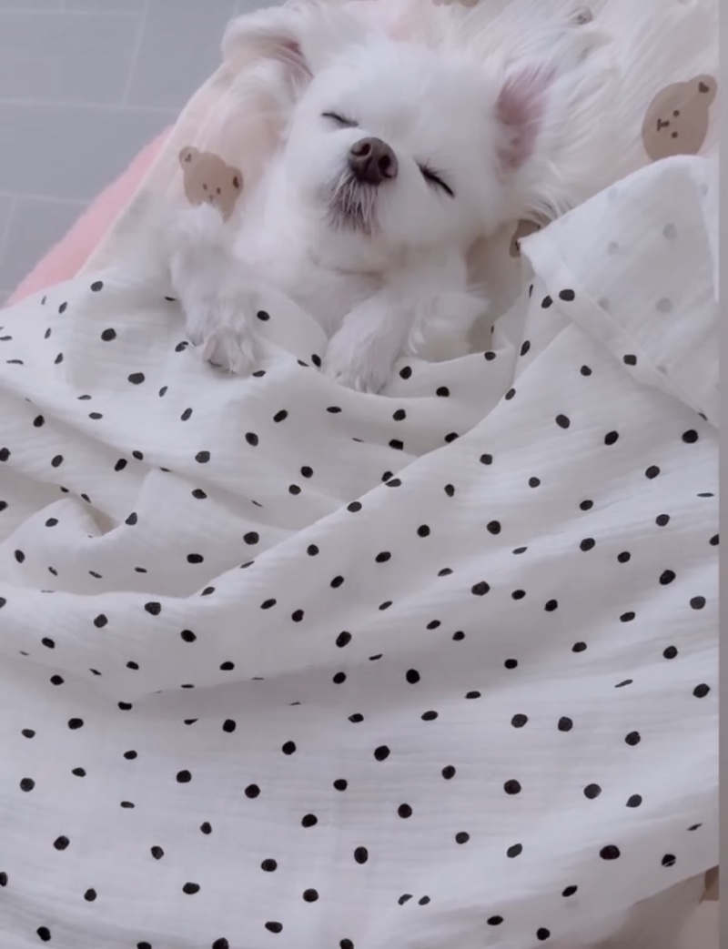 ㅋㅋ잘때는 벌러덩