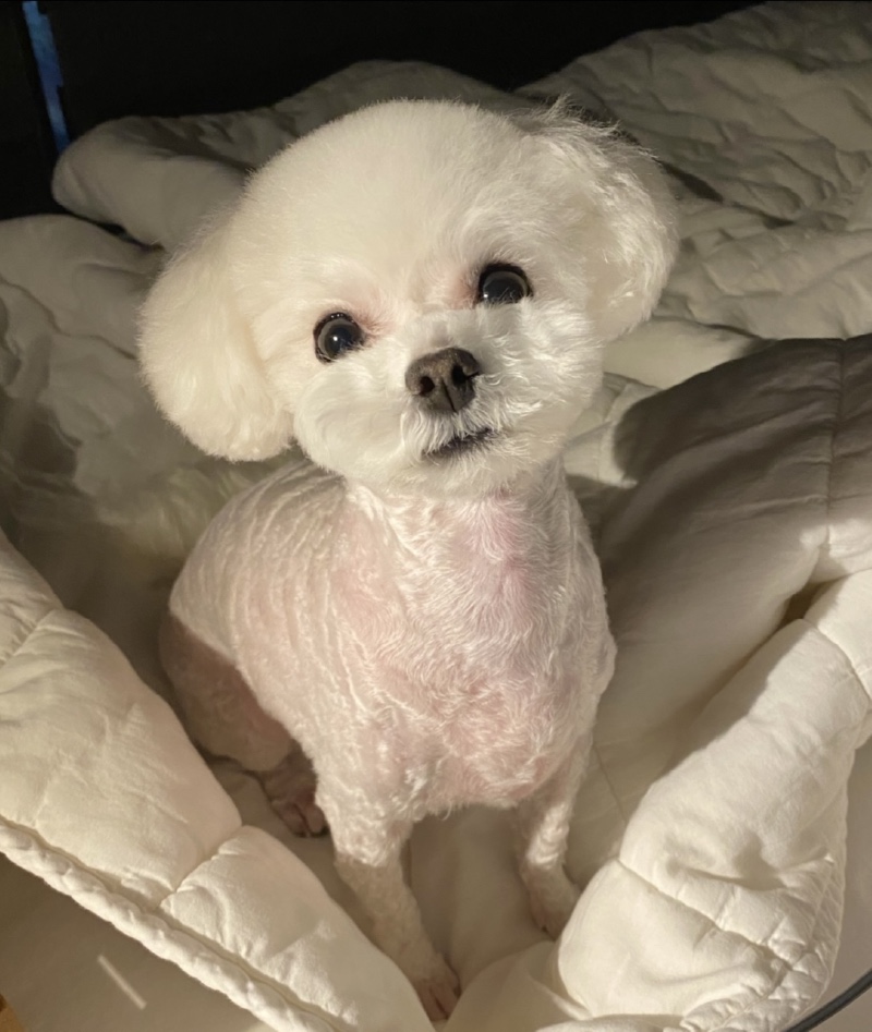 아가시절 겨울이