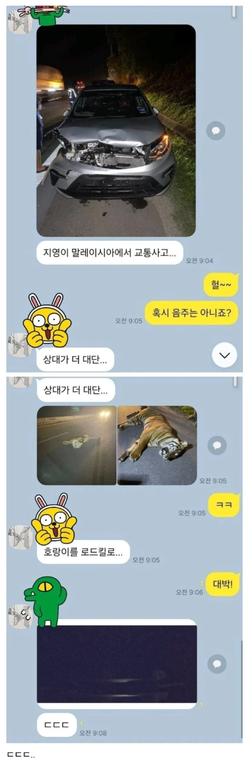 말레이시아에서 로드킬 교통사고 난 한국인 