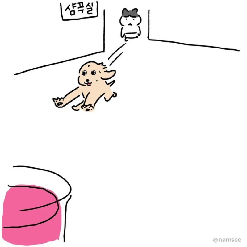 미용실에서 체리콕 받았던 만화.namsee
