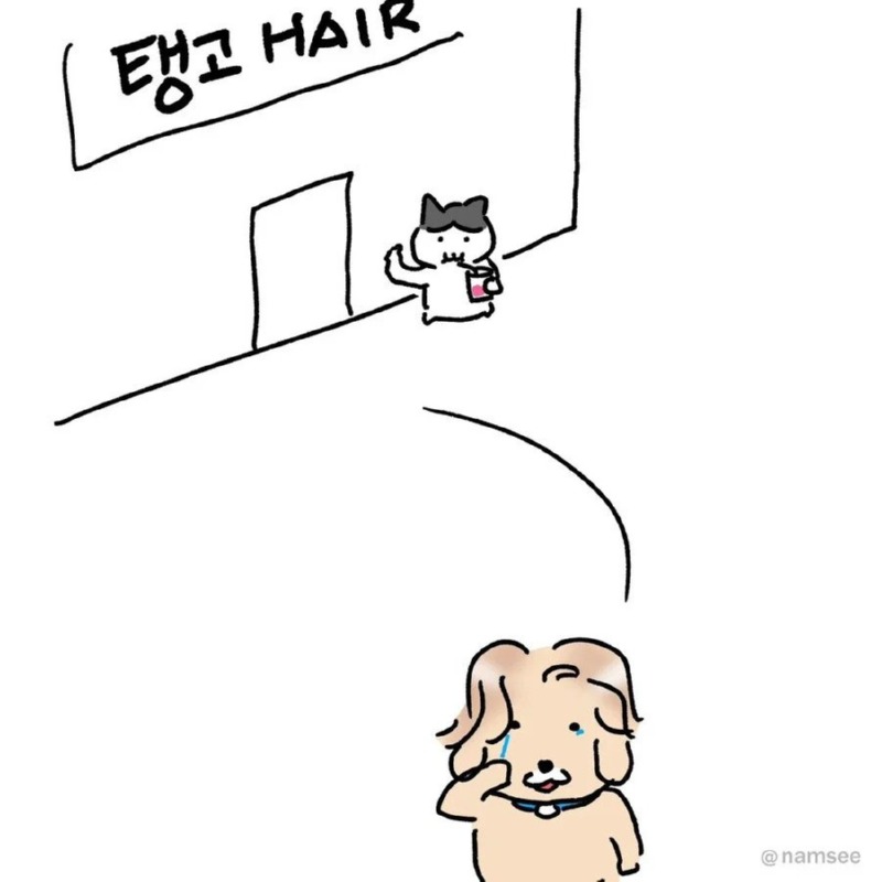미용실에서 체리콕 받았던 만화.namsee