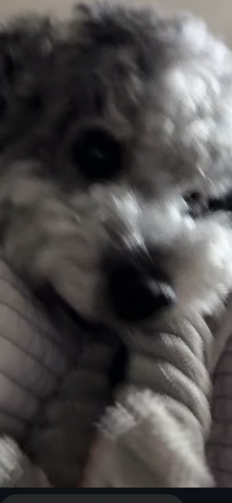 터그 설이