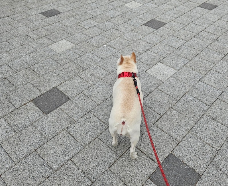 송록.jpg