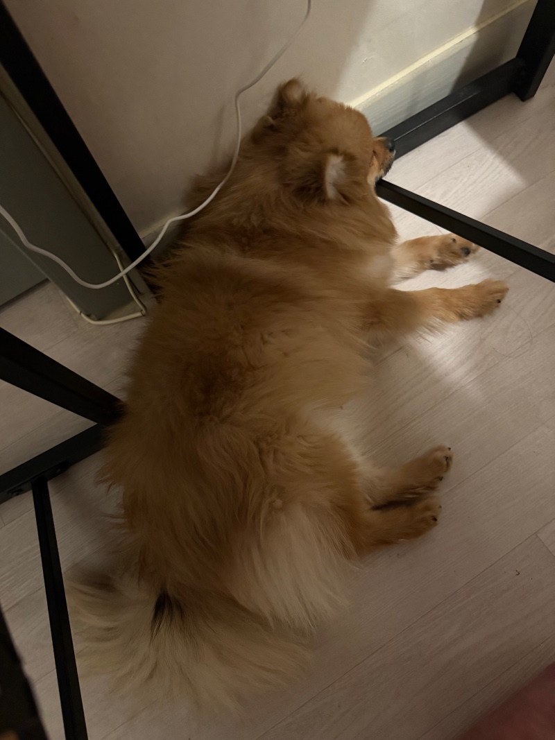 소중해유