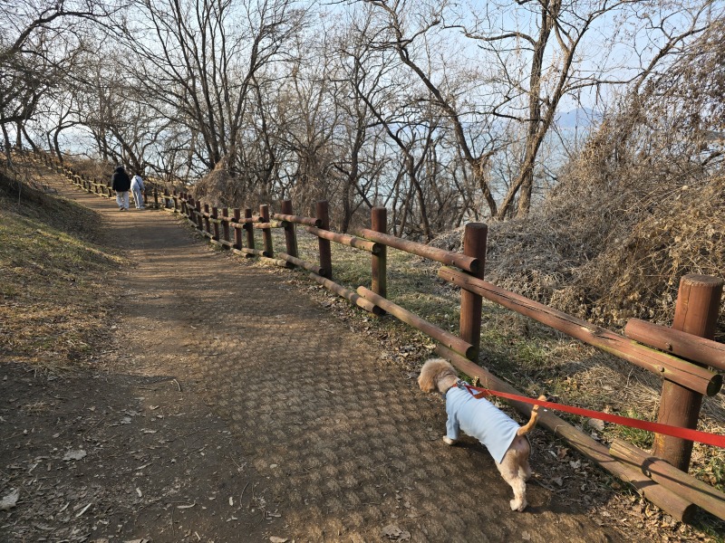 인천 예단포 미단시티공원전망대, 반려견과 함께하는 끝장경치!