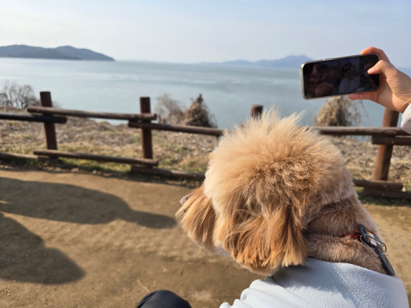 인천 예단포 미단시티공원전망대, 반려견과 함께하는 끝장경치!