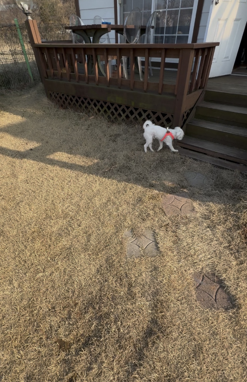 IMG_0962.jpeg