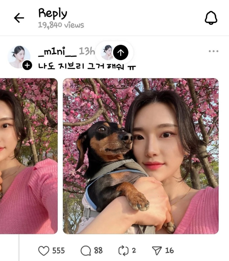 나도 지브리 그거 해줘 ㅠㅠ 