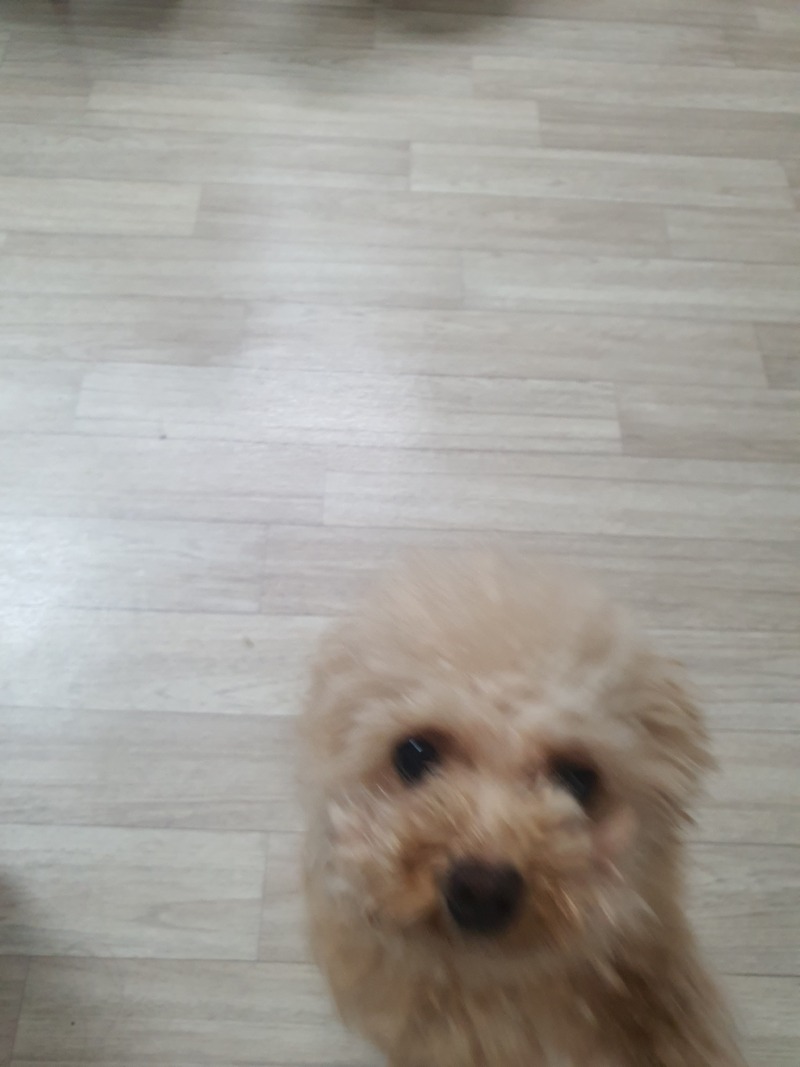우리 감자 :3