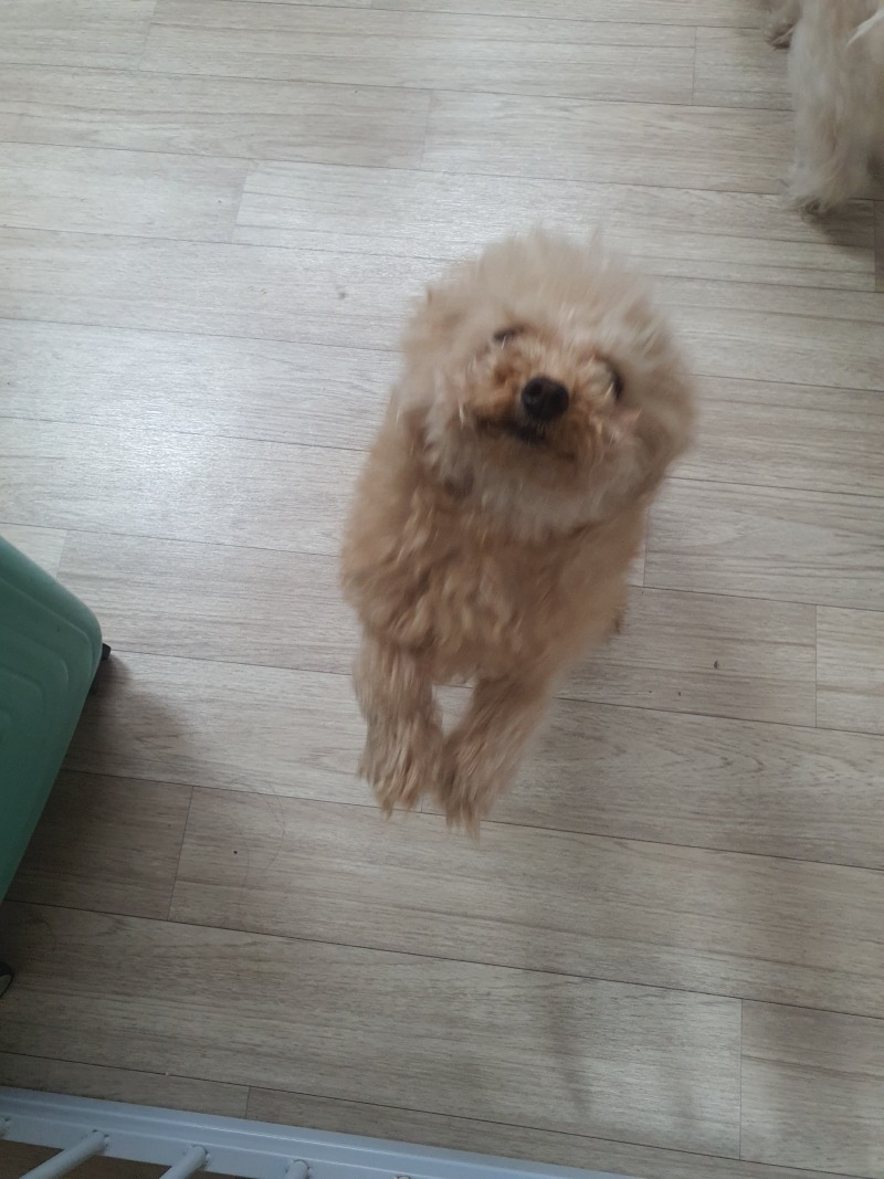 우리 감자 :3