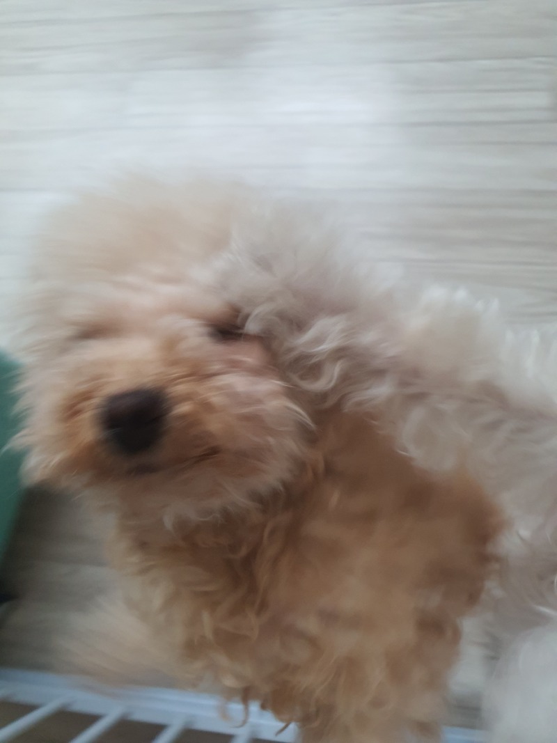 우리 감자 :3