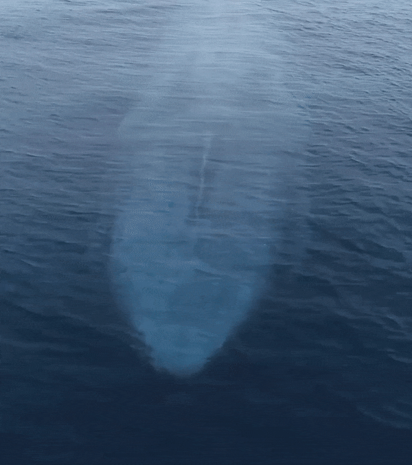 a2db2522ff1ef2e8ea4e8d3a68ce9618f504f7b7.gif